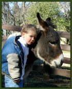 Miniature donkeys and children